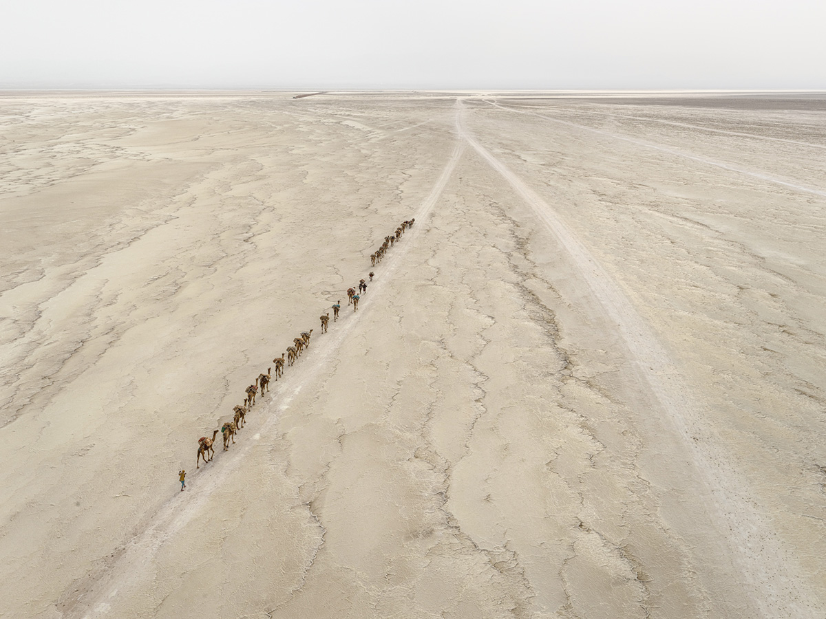 Edward Butynsky Camel Caravan #1, Danakil Depression, Ethiopia, 2018 © Edward Burtynsky, courtesy Nicholas Metivier Gallery, Toronto / Flowers Gallery, London