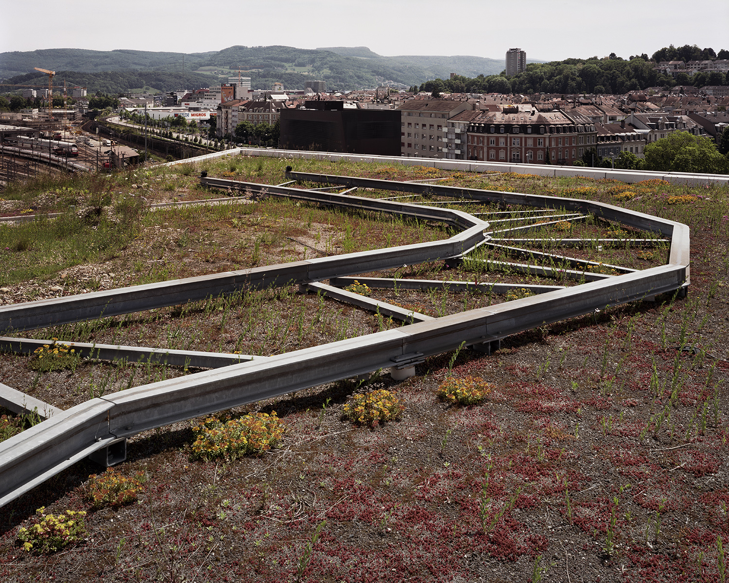 BLANCA BERLÍN Brad Temkin Jacob Buckhardt Haus (looking East), 2014  © BRAD TEMKIN