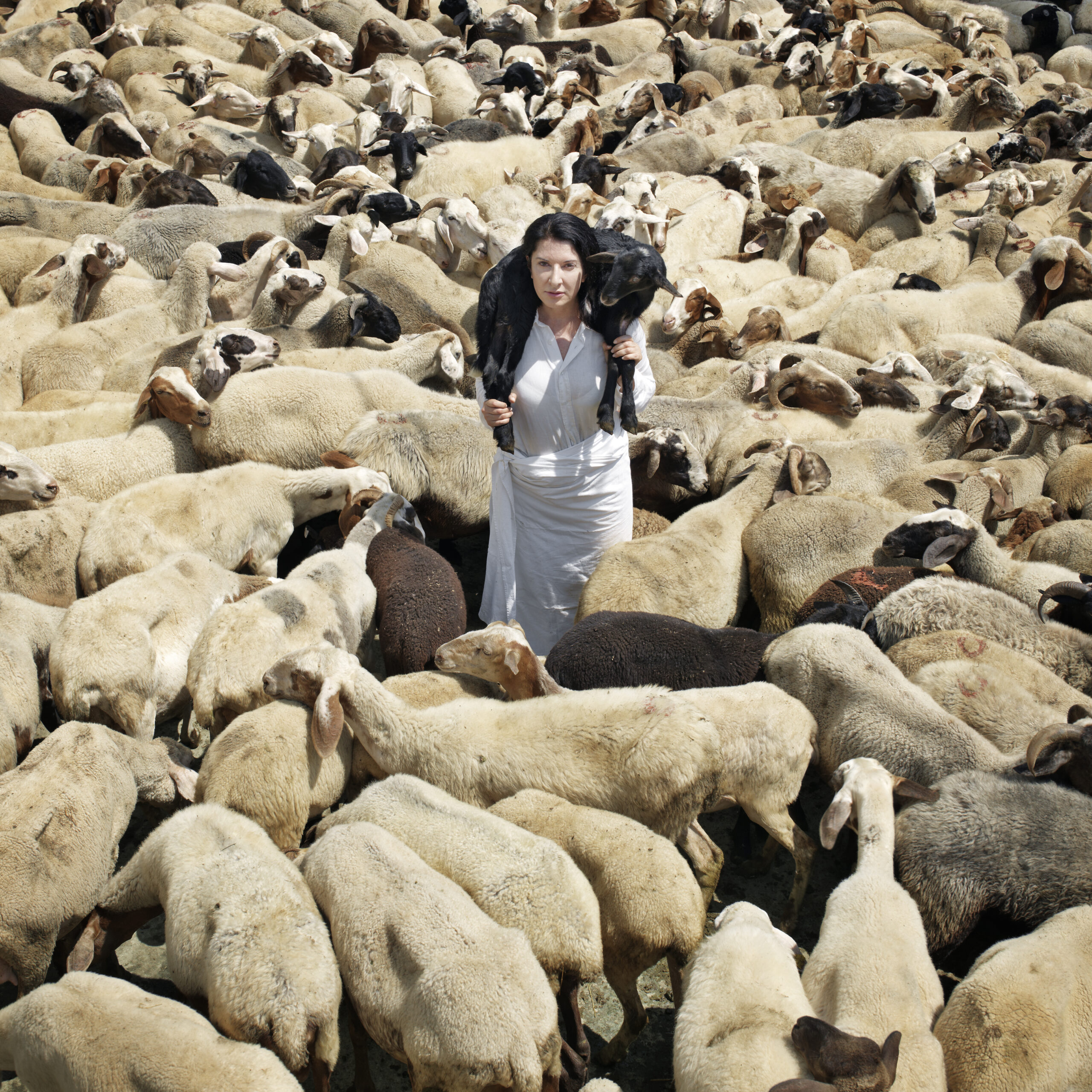 Marina AbramovićBlack Sheep from the seriesBack to Simplicity, 2010© Marina Abramović,Courtesy of the MarinaAbramović Archives