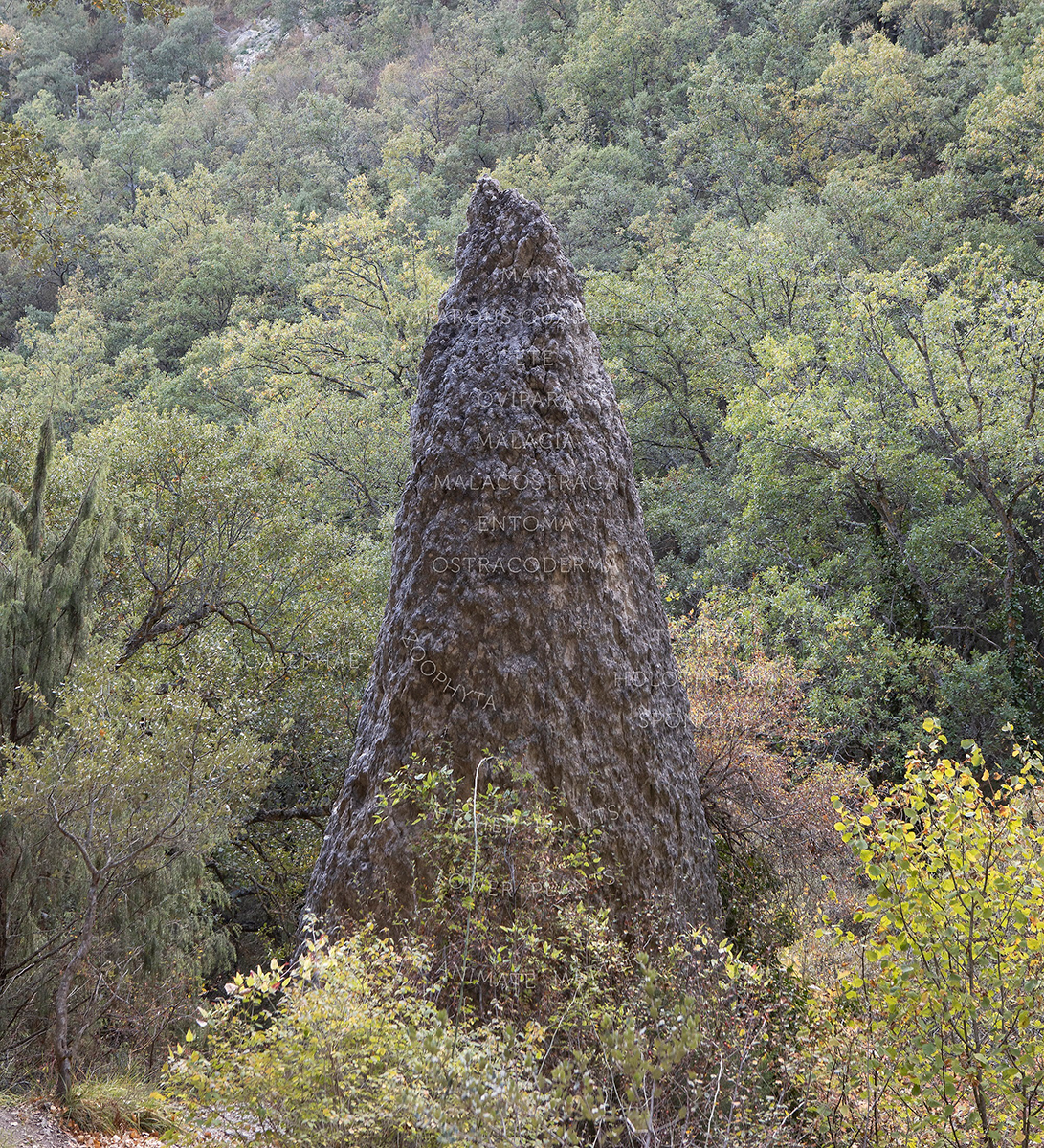 LUCÍA MENDOZA Miguel Sbastida Becoming Geologic (scala naturae), 2023 © MIGUEL SBASTIDA