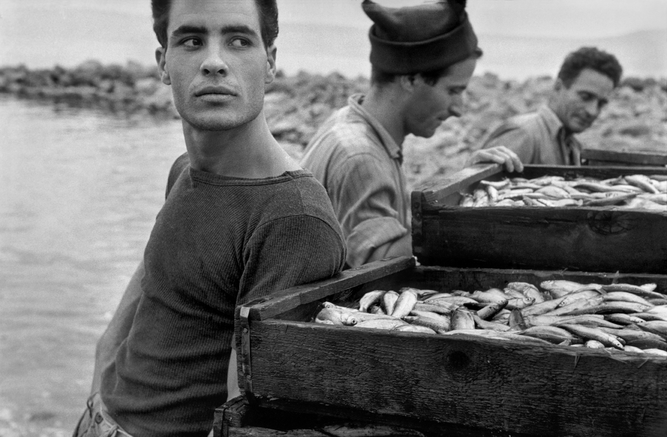 ISRAEL. 1954.
Fishermen with their catch at the Sea of Galilee.