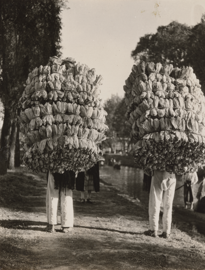 Rosas, 1924   Paladiotipo. Impresión de época o vintage  Colección y Archivo de Fundación Televisa