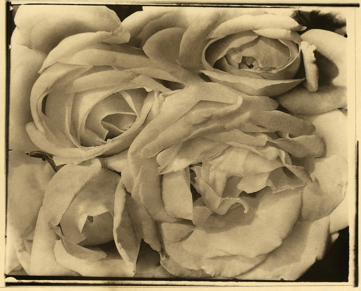 Rosas, 1924   Paladiotipo. Impresión de época o vintage  Colección y Archivo de Fundación Televisa