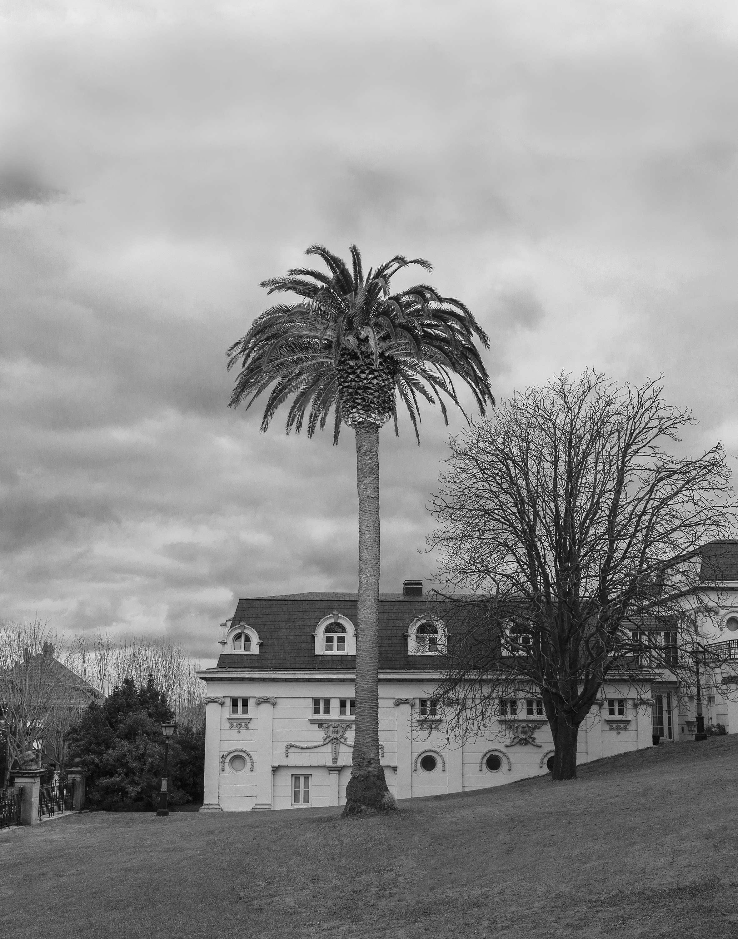 HOTEL REAL Palmera del Spa © Miguel Soler-Roig